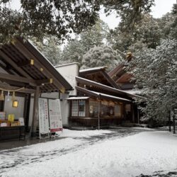 初詣に行きました♪