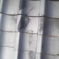 欠けた瓦に潜む危険性